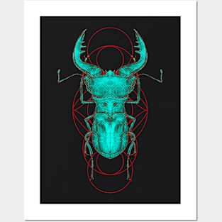 Cyclommatus Beetle Posters and Art